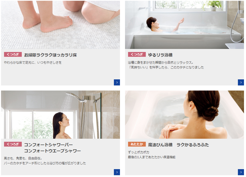 サザナ特徴1